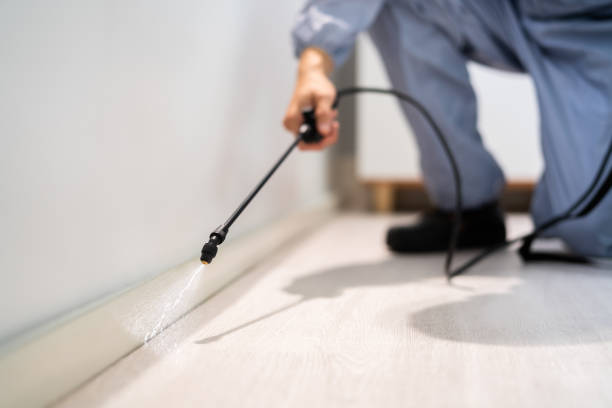 Licensed Pest Control service in Penn Yan, NY - Show Me Pest Control
