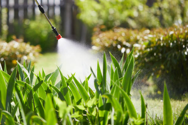 Tamper-Resistant Bait Stations for Rodents in Penn Yan