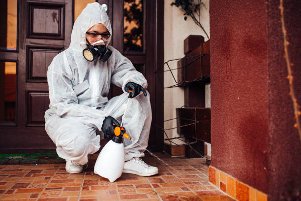Attic and Crawl Space Rodent Treatment in Penn Yan