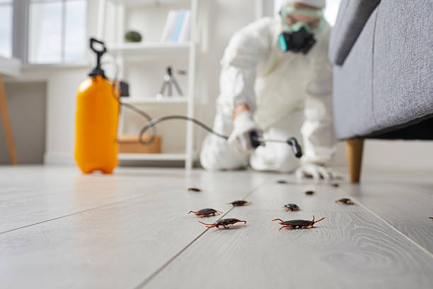 Commercial Rodent Management in Penn Yan